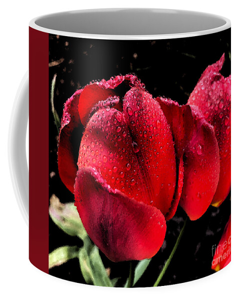 Tulips Coffee Mug featuring the photograph Raindrops on Tulips by Jeanette French