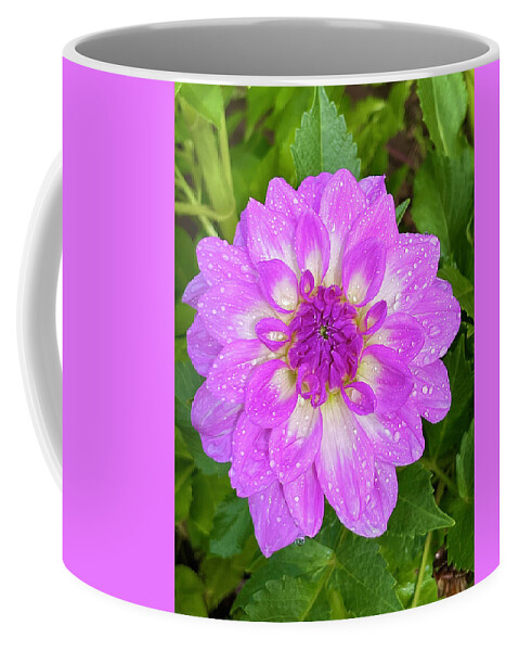 Dahlia Coffee Mug featuring the photograph Rained On by Brian Eberly