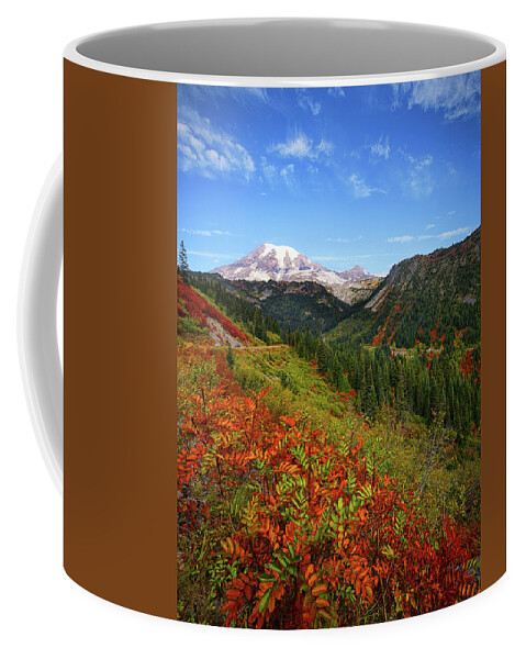 Mount Rainier National Park Coffee Mug featuring the photograph Rainier Fall Delight by Dan Mihai