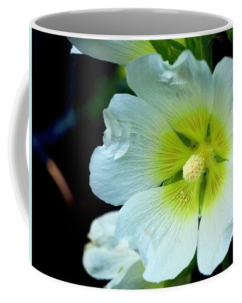 Hollyhock Coffee Mug featuring the photograph Random Seeding by Alida M Haslett