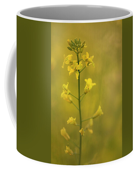 Rapeseed Coffee Mug featuring the photograph Rapeseed flowers by Karen Rispin