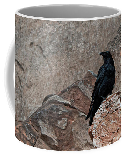 Raven Coffee Mug featuring the photograph Raven in Lake Powell by Bonnie Colgan