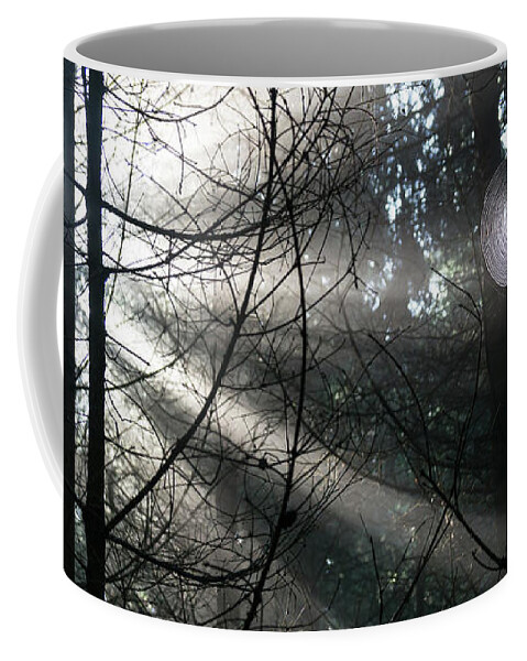 Forest Coffee Mug featuring the photograph Rays of light in the forest 2 by Adriana Mueller