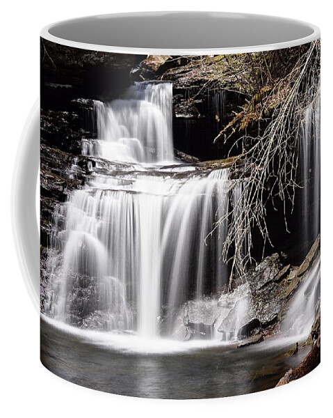 Photography Coffee Mug featuring the photograph RB Ricketts Falls by Larry Ricker