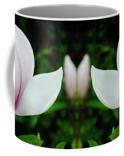 Magnolia Coffee Mug featuring the photograph Reaching Out by Bob Christopher
