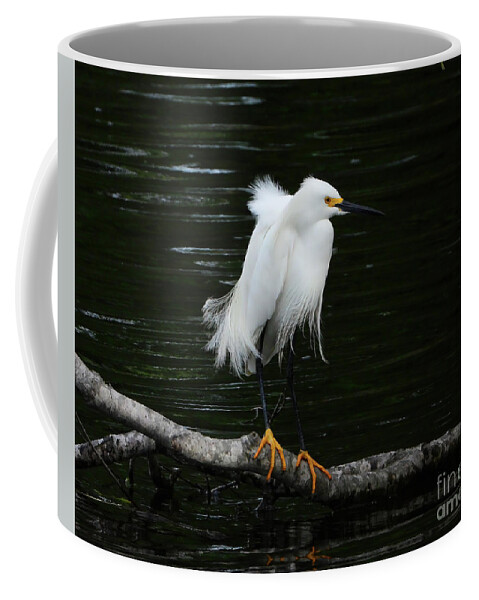 Egret Coffee Mug featuring the photograph Ready for the Dance by Scott Cameron