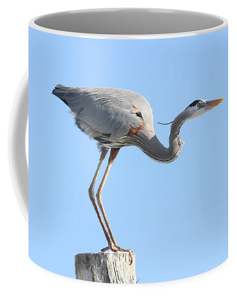 Great Blue Heron Coffee Mug featuring the photograph Ready to Take Off by Mingming Jiang