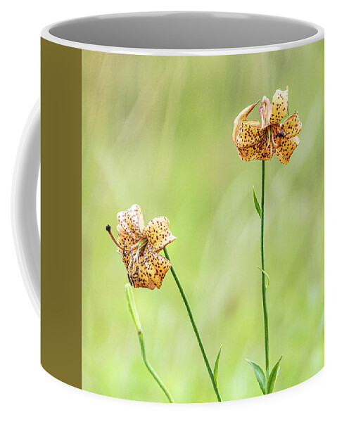 Red Yellow Flowers Shallow Depth Of Field Coffee Mug featuring the photograph Red And Yellow Flowers by David Morehead