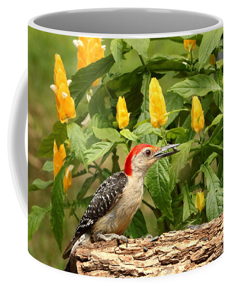 Nature Coffee Mug featuring the photograph Red-bellied Woodpecker and Lollipop Plant by Sheila Brown