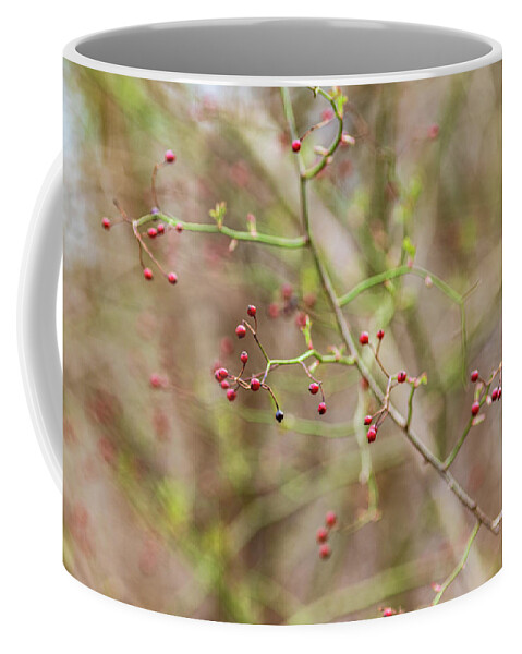 Tree Coffee Mug featuring the photograph Red Berries on a Branch by Amelia Pearn