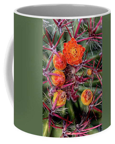 Cactus Coffee Mug featuring the photograph Red Cactus Blossoms by Bob Falcone