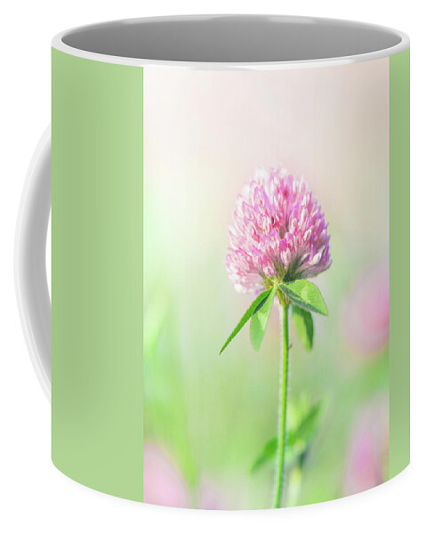 Red Clover Coffee Mug featuring the photograph Red Clover Spring Blooming Flower by Jordan Hill