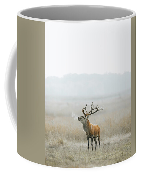 Forest Coffee Mug featuring the photograph Red deer on a cold foggy morning. by Patrick Van Os