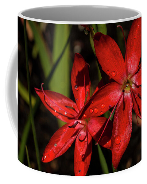 Red Coffee Mug featuring the photograph Red by Doug Scrima