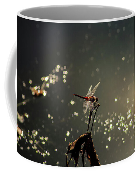 Insects Coffee Mug featuring the photograph Red Dragon by Marcus Jones
