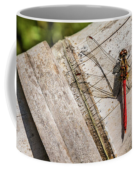 Dragonfly Coffee Mug featuring the photograph Red dragonfly by Lyl Dil Creations