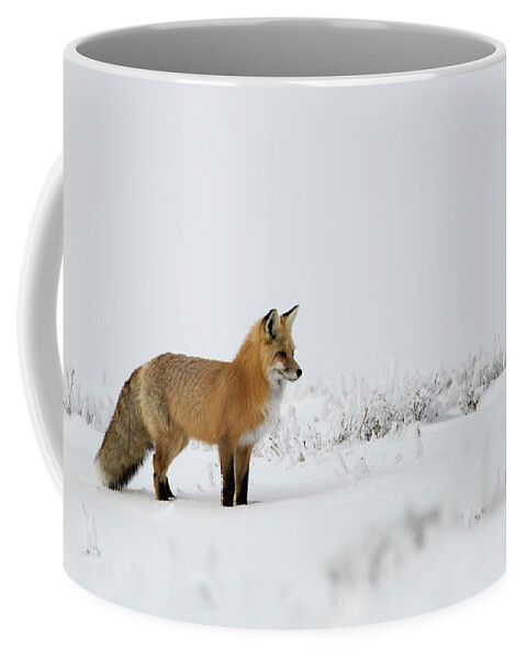 Fox Coffee Mug featuring the photograph Red Fox in the Snow by Patrick Nowotny