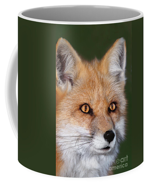 Red Fox Coffee Mug featuring the photograph Red Fox Portrait Wildlife Rescue by Dave Welling