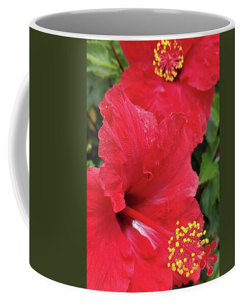 Red Hibiscus Coffee Mug featuring the photograph Red Hibiscus by Meghan Gallagher