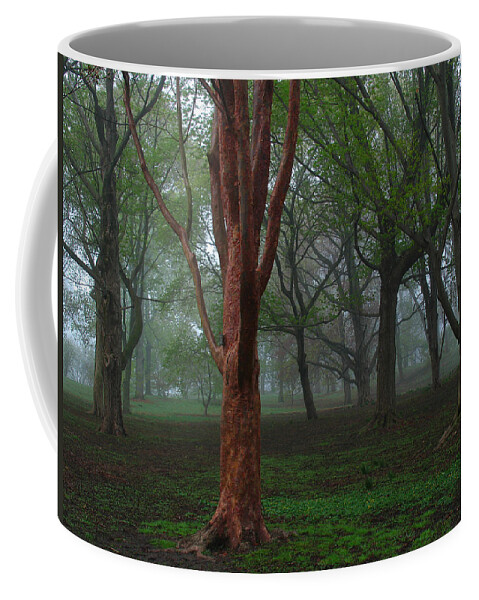 Red Coffee Mug featuring the photograph Red by Juergen Roth