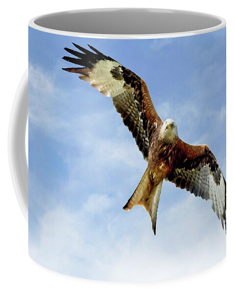 Red Kite Coffee Mug featuring the photograph Red Kite Bird by Martyn Arnold