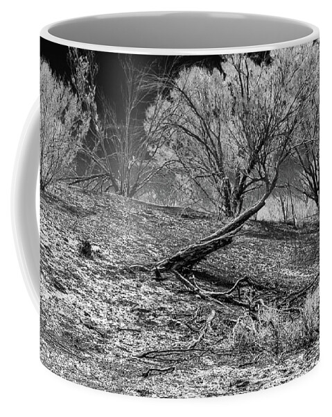 Nature Coffee Mug featuring the photograph Red Landscape 3bw by Werner Padarin