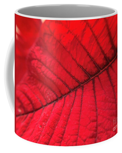 Poinsettia Coffee Mug featuring the photograph Red Leaf by Catherine Wilson