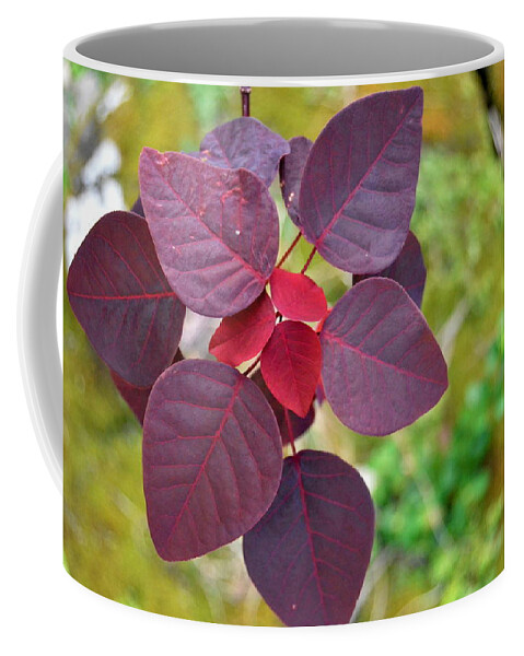 Kauai Coffee Mug featuring the photograph Red Leaves by Amy Fose