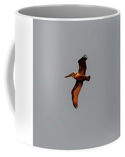 Pelican Coffee Mug featuring the photograph Red Pelican by Brian Jay