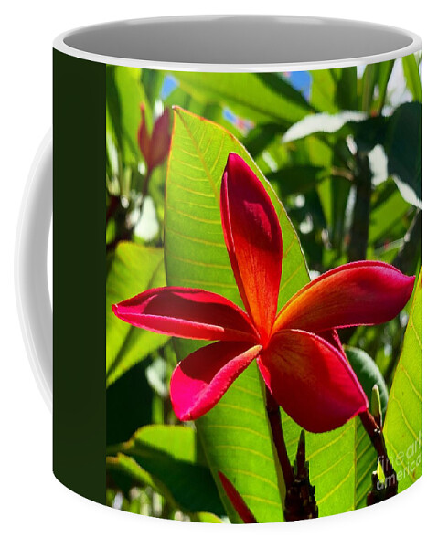 Red Hawaiian Flower Coffee Mug featuring the photograph Red Plumeria by Dorota Nowak