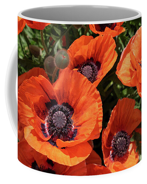 Poppy Coffee Mug featuring the photograph Red poppies in the summer meadow by Adriana Mueller