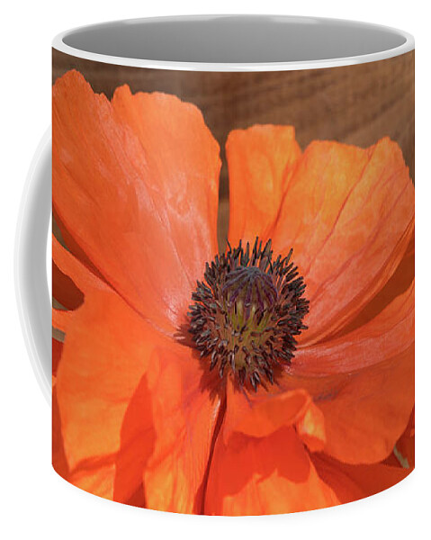 Poppy Coffee Mug featuring the photograph Red poppy blossom, wood and sunshine by Adriana Mueller