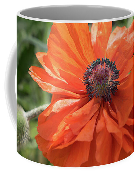 Poppy Coffee Mug featuring the photograph Red poppy blooms on the green summer meadow by Adriana Mueller