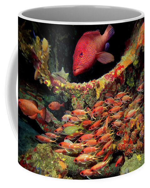 Wreck Of The Rhone Coffee Mug featuring the photograph Red Rhone Fish by Gary Felton