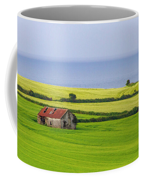 Barley Coffee Mug featuring the photograph Red Roof Green Fields by Mark Callanan