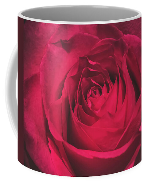 Red Coffee Mug featuring the photograph Red Rose by Anamar Pictures