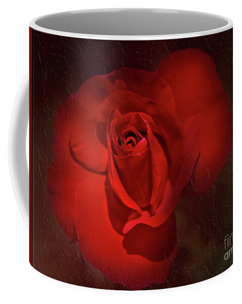 Red Coffee Mug featuring the photograph Red Rose by Elaine Teague