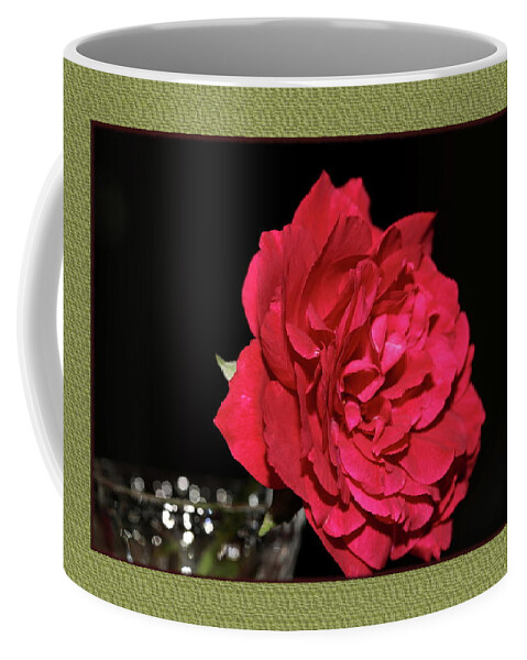 Rose Coffee Mug featuring the photograph Red Rose in A Frame by Mingming Jiang