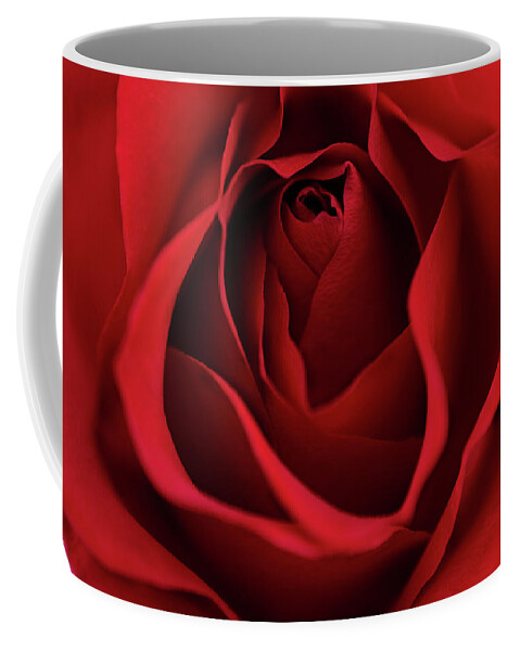 Red Rose Macro Print Coffee Mug featuring the photograph Red Rose Macro Wall Art by Gwen Gibson