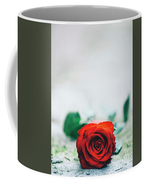 Abandoned Coffee Mug featuring the photograph Red rose on the street by Jelena Jovanovic