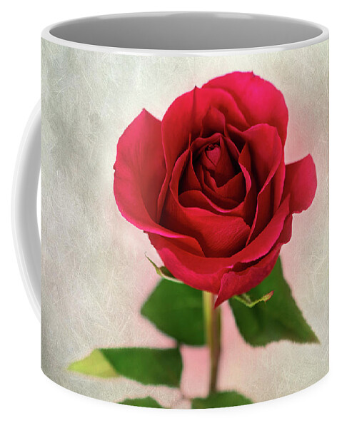 Red Rose Coffee Mug featuring the photograph Red Rose Single Stem Print by Gwen Gibson