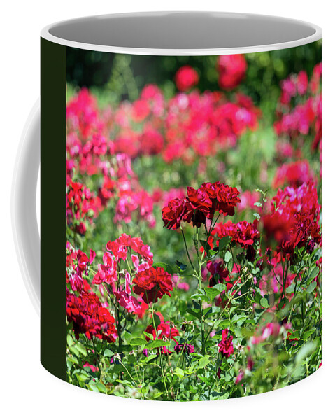 Garden Coffee Mug featuring the photograph Red Roses Garden Background by Mikhail Kokhanchikov