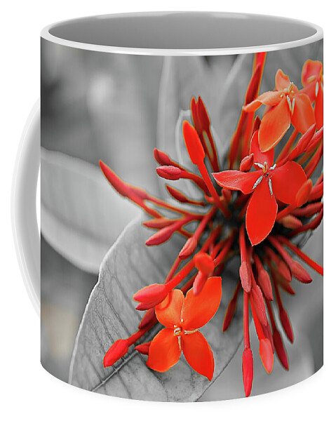 Asia Coffee Mug featuring the photograph Red scarlet ixora by Jean-Luc Farges