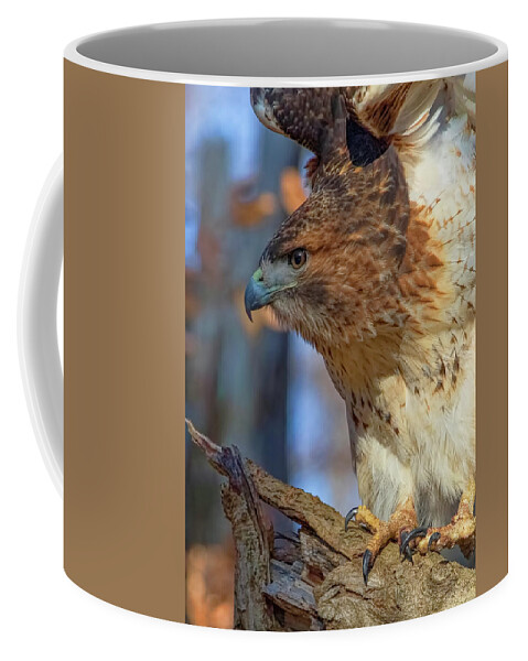 Hawk Coffee Mug featuring the photograph Red-Tailed Hawk - Closeup by Ron Grafe