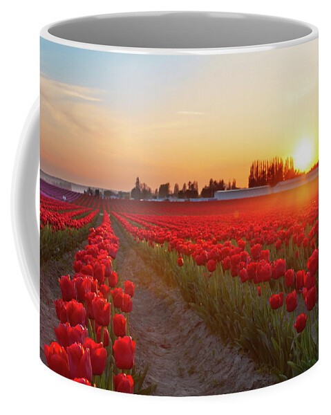 Tulips Coffee Mug featuring the photograph Red Tulip Sunset by Michael Rauwolf