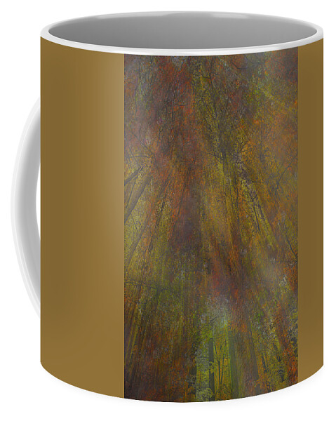 Forest Coffee Mug featuring the photograph Red Weir by Cynthia Dickinson