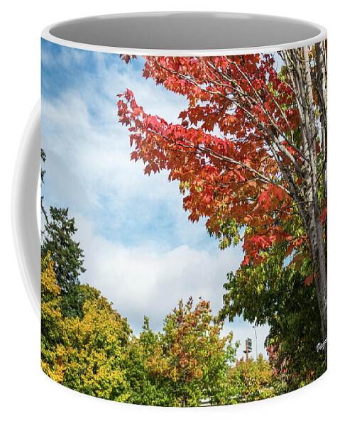Red White And Blue Coffee Mug featuring the photograph Red, White, and Blue by Tom Cochran