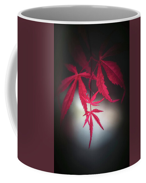 Leaves Coffee Mug featuring the photograph Red with Light by Philippe Sainte-Laudy