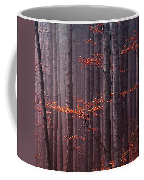 Mountain Coffee Mug featuring the photograph Red Wood by Evgeni Dinev