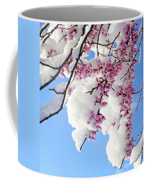 Redbud Coffee Mug featuring the photograph Redbud Blossoms and April Snow 5010 by Jack Schultz